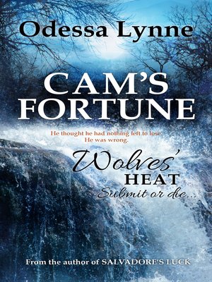 cover image of Cam's Fortune